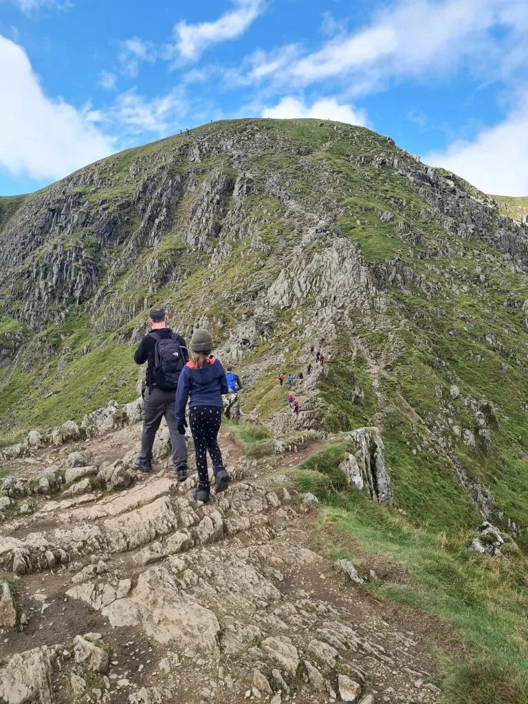 Striding Edge - The Wandering Wildflower