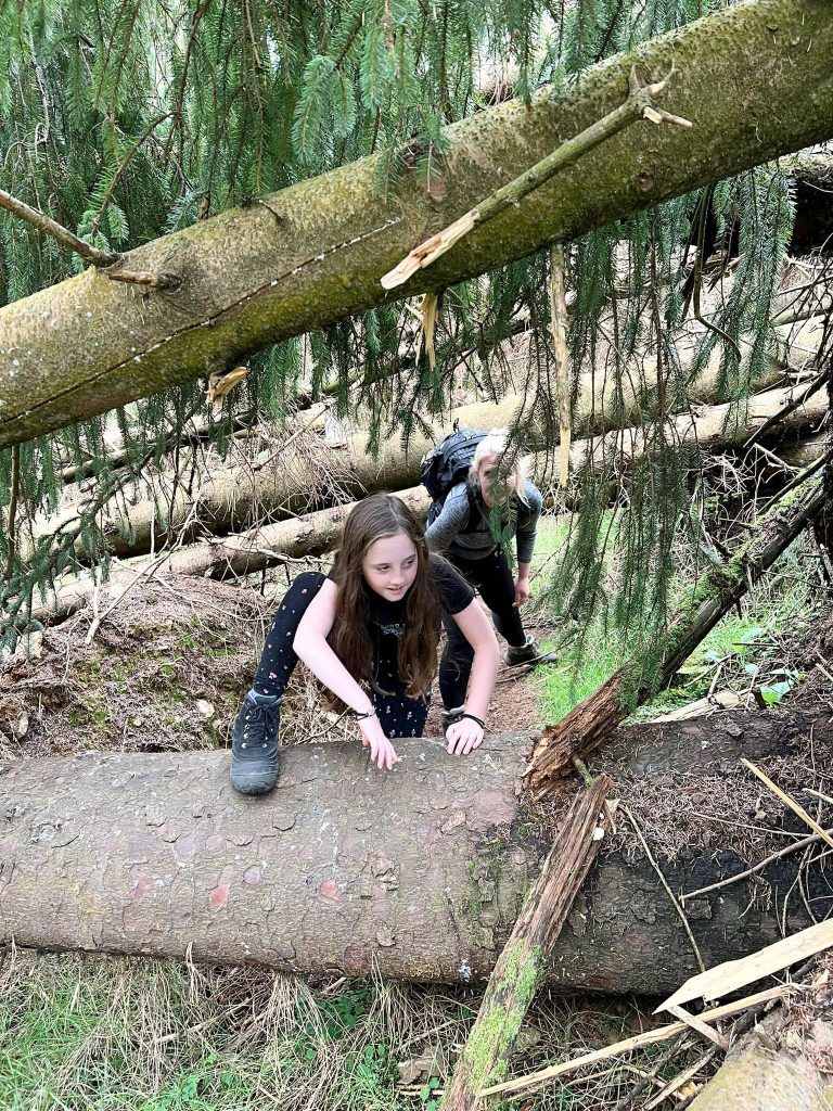 Climbing over fallen trees near Lanty's Tarn - The Wandering Wildflower