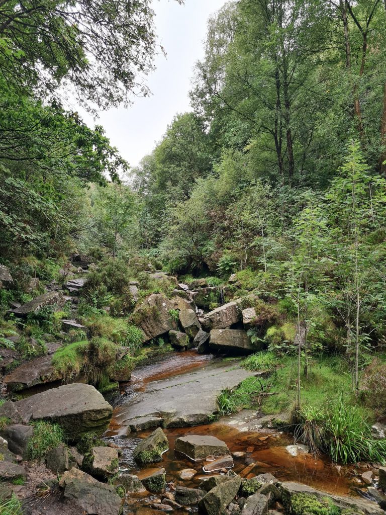 The route to Middle Black Clough Waterfall - The Wandering Wildflower