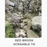 Pin Image for Red Brook Scramble onto Kinder Scout - The Wandering Wildflower Peak District Walks