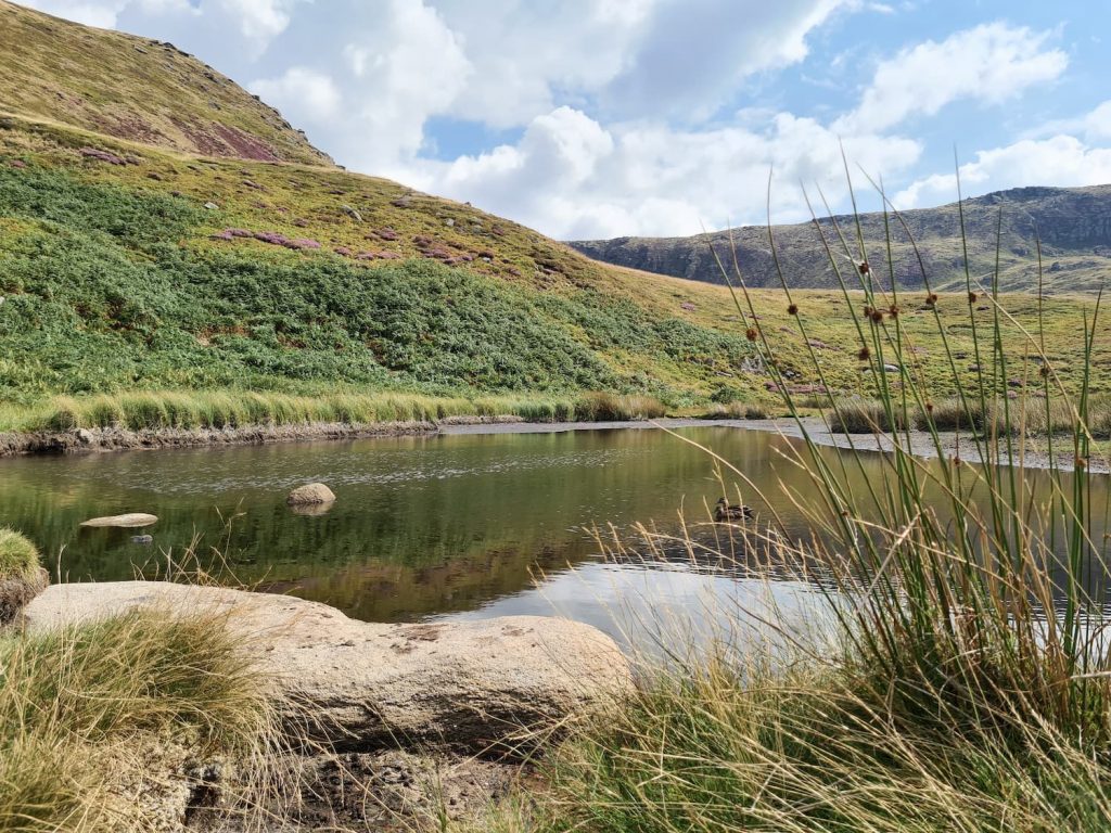 The Mermaid's Pool on Kinder Scout - Peak District Walks by The Wandering Wildflower