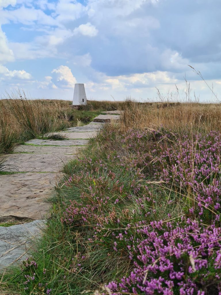 Brown Knoll trig point in the heather - Peak District Walks by The Wandering Wildflower