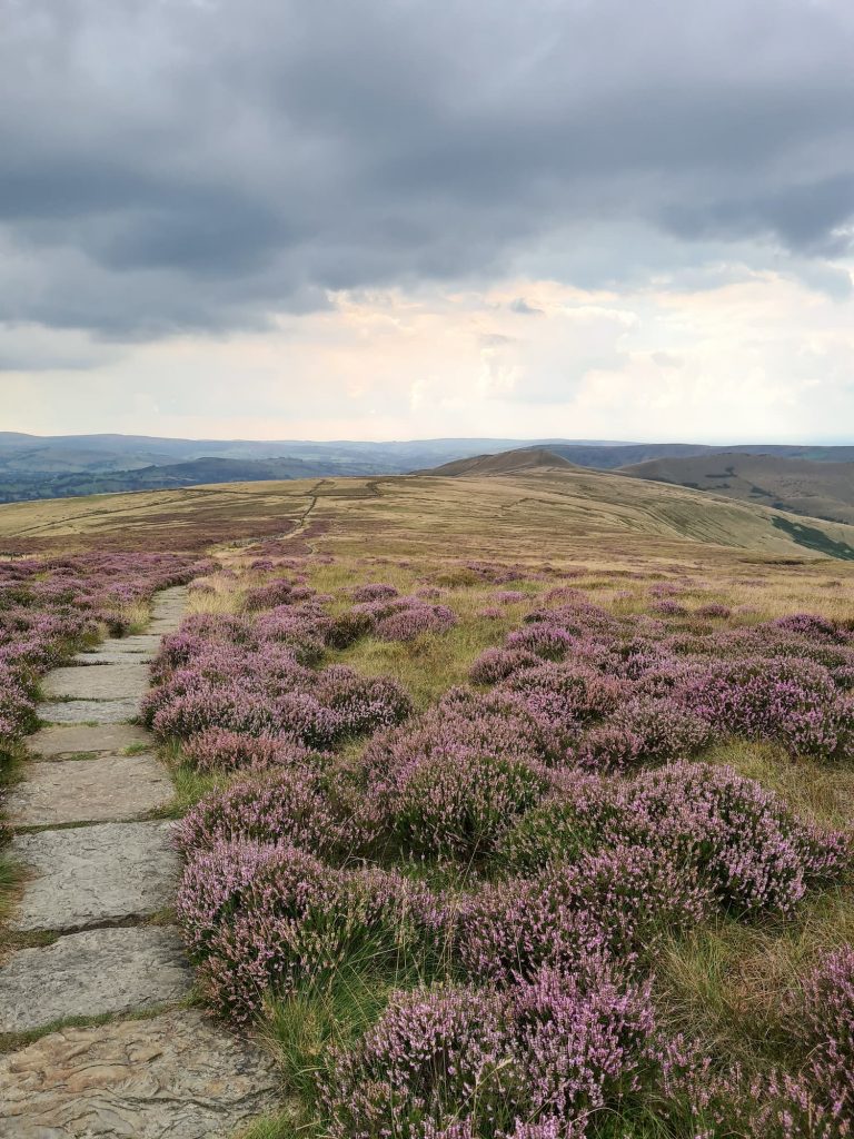 South Head and a stone path through the heather - Peak District Walks by The Wandering Wildflower