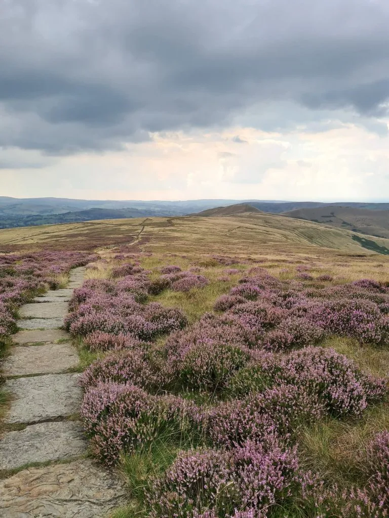 South Head and a stone path through the heather - Peak District Walks by The Wandering Wildflower