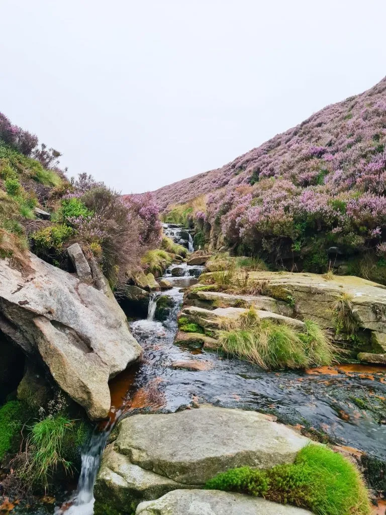 Peak District Waterfalls at Torside Clough - The Wandering Wildflower