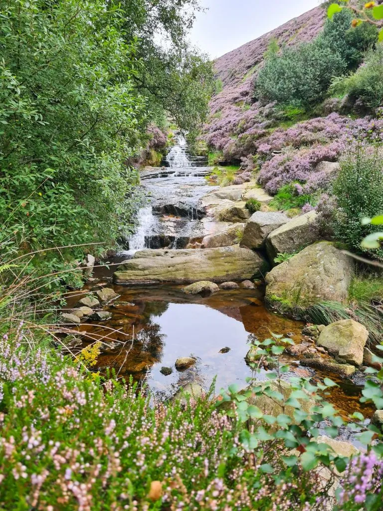 Peak District Waterfalls at Torside Clough - The Wandering Wildflower