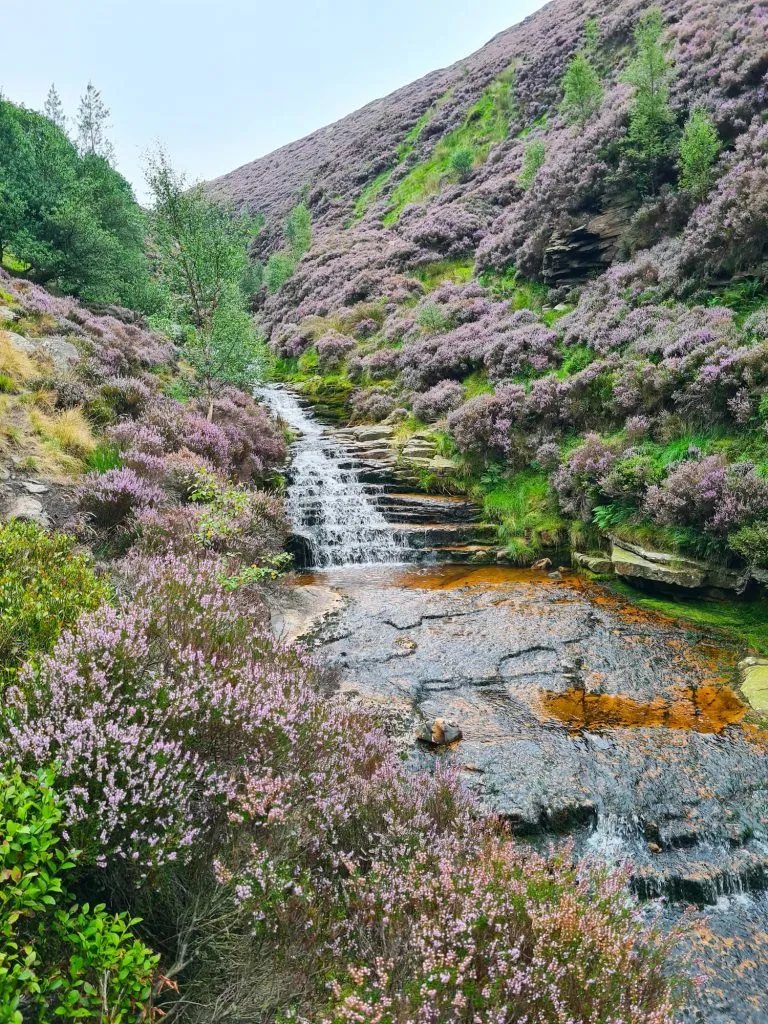 Peak District Waterfalls at Torside Clough - The Wandering Wildflower