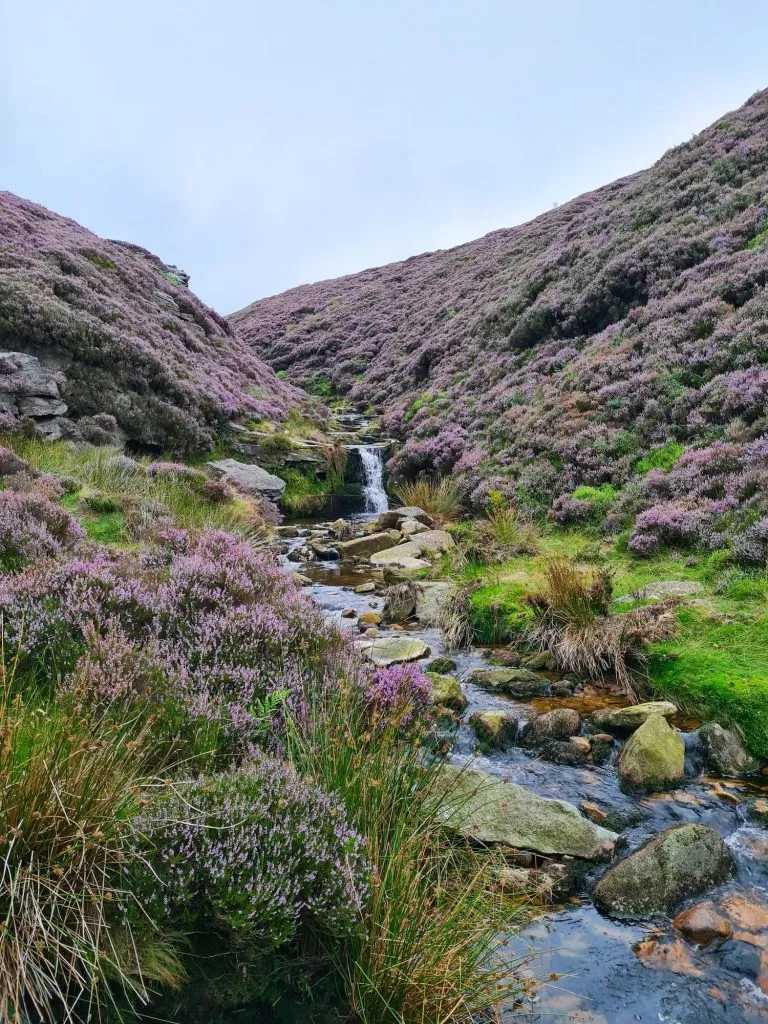 Peak District Waterfalls at Torside Clough - The Wandering Wildflower