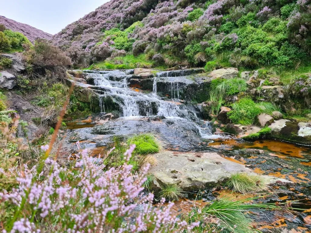 Peak District Waterfalls at Torside Clough - The Wandering Wildflower