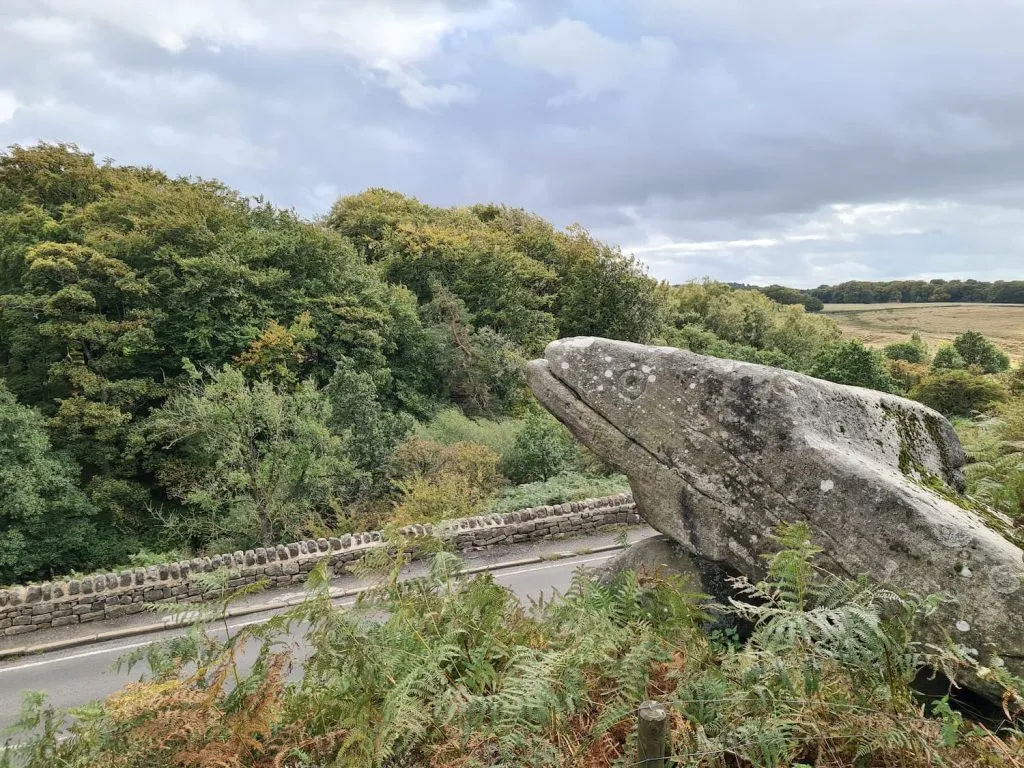 Toads Mouth rock - The Wandering Wildflower