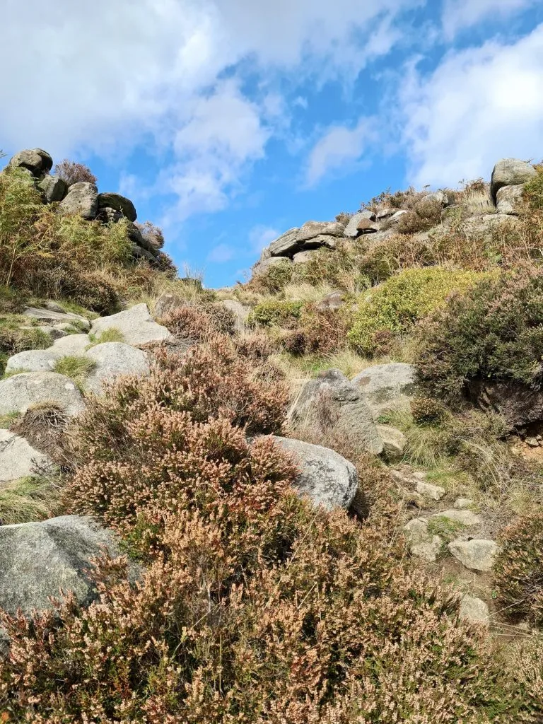 Entrance to Carl Wark, an Iron Age hillfort - The Wandering Wildflower