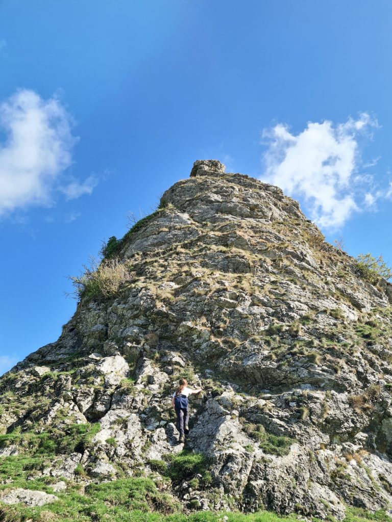 Parkhouse Hill - The Wandering Wildflower