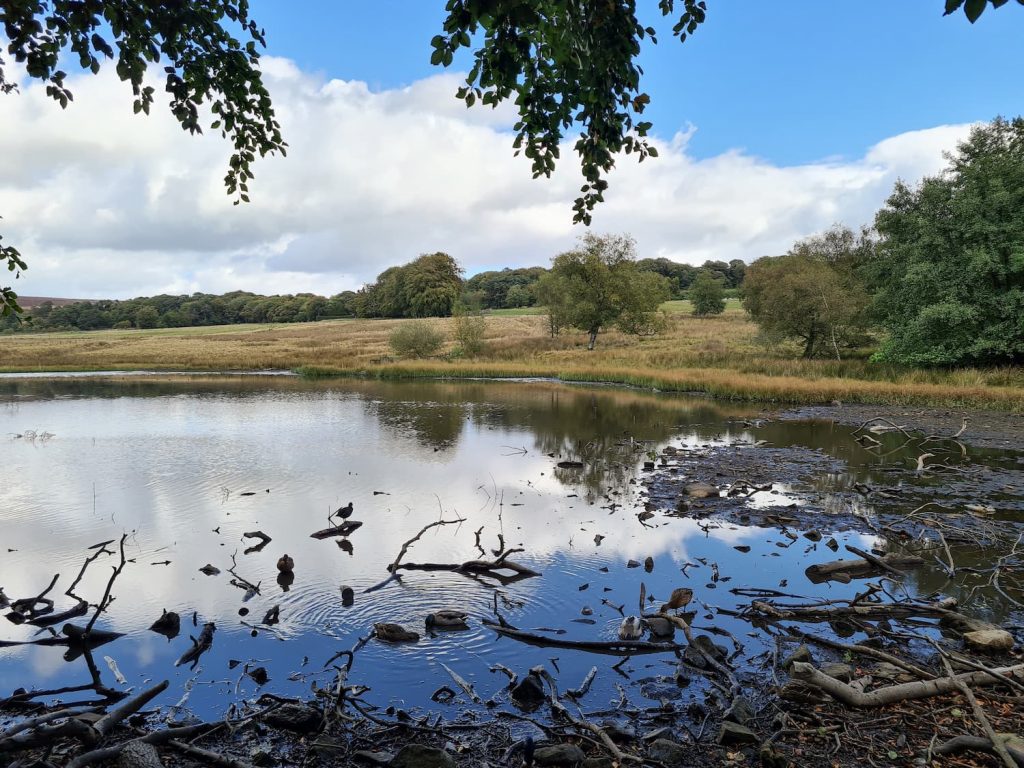 Lake on Longshaw Estate - The Wandering Wildflower