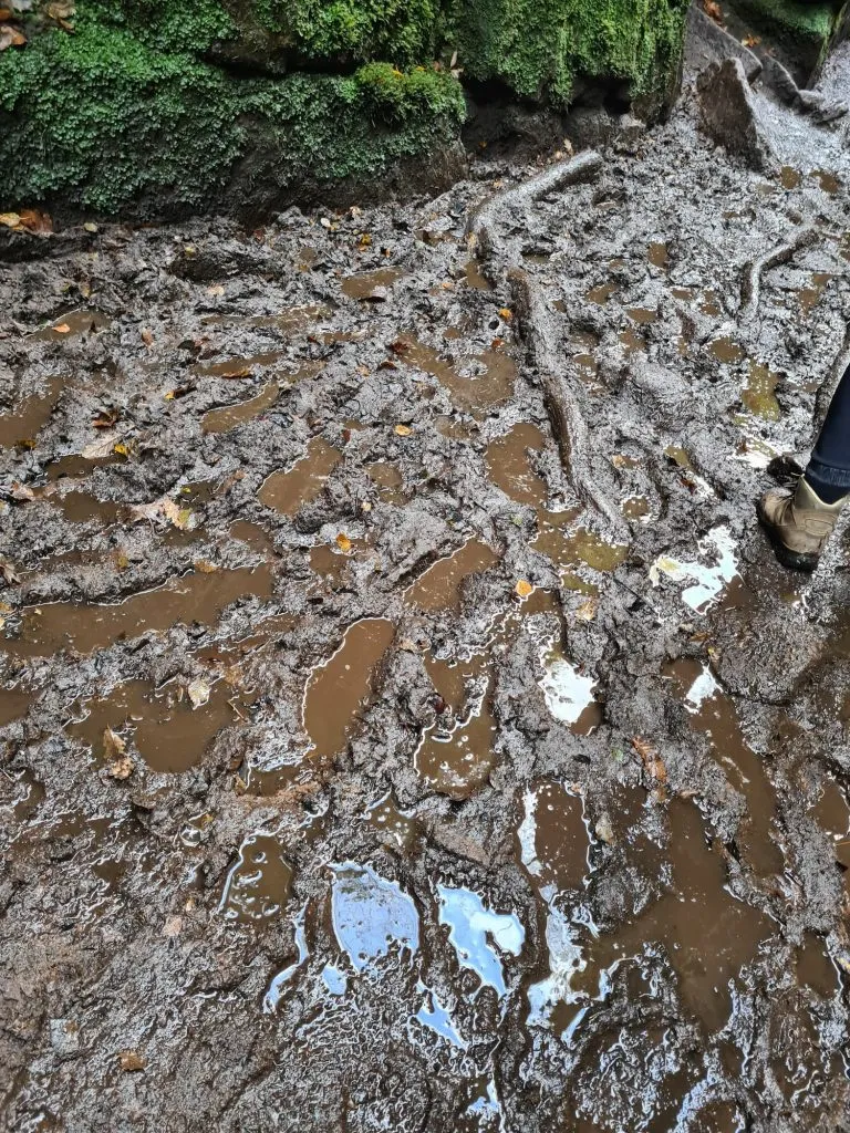 Mud in Lud's Church - The Wandering Wildflower
