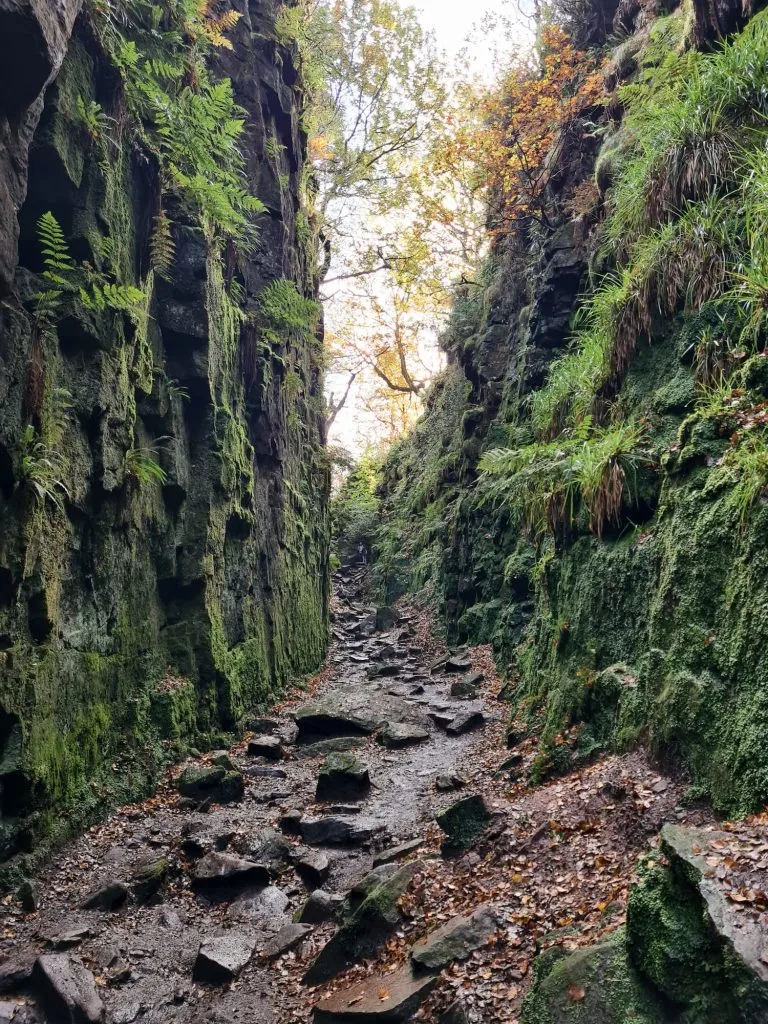 Lud's Church - The Wandering Wildflower