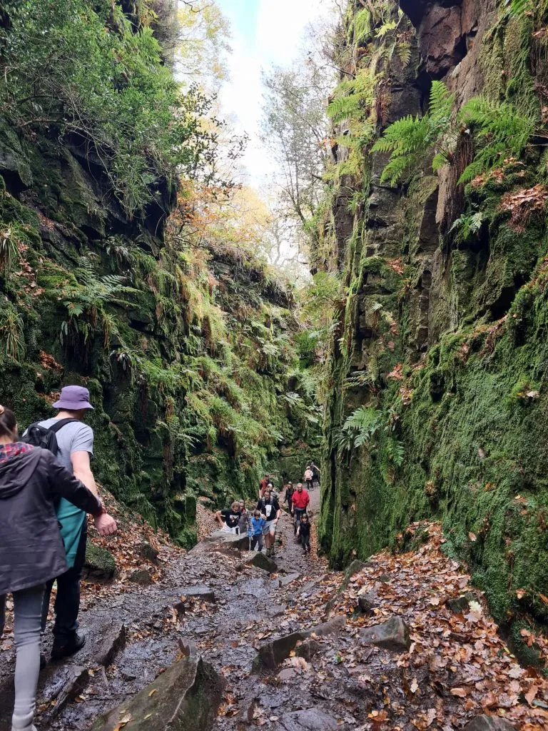 Lud's Church - The Wandering Wildflower