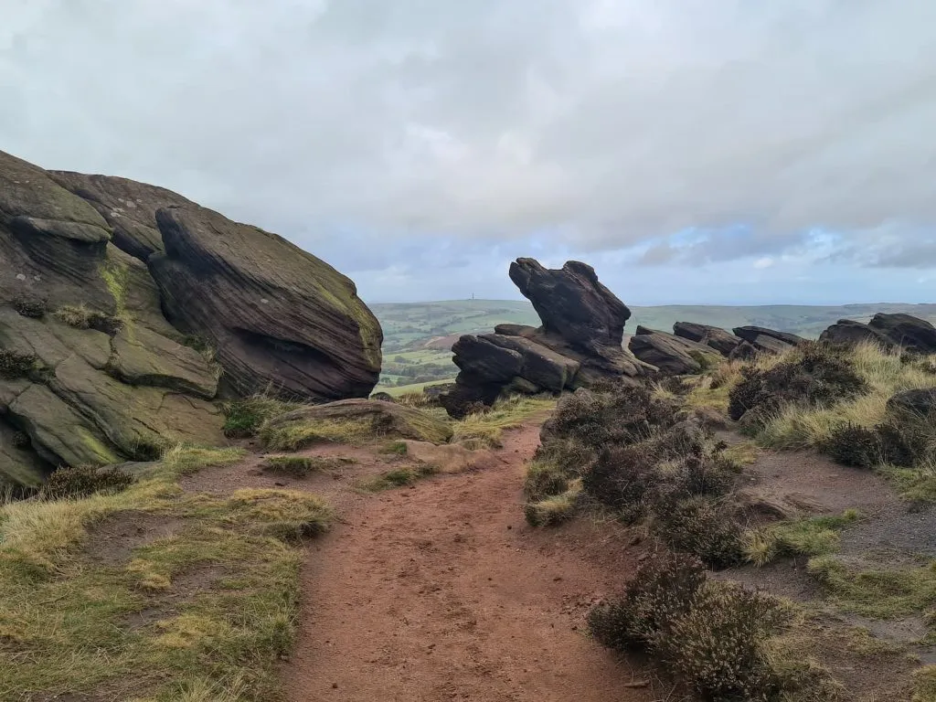 The Roaches - The Wandering Wildflower