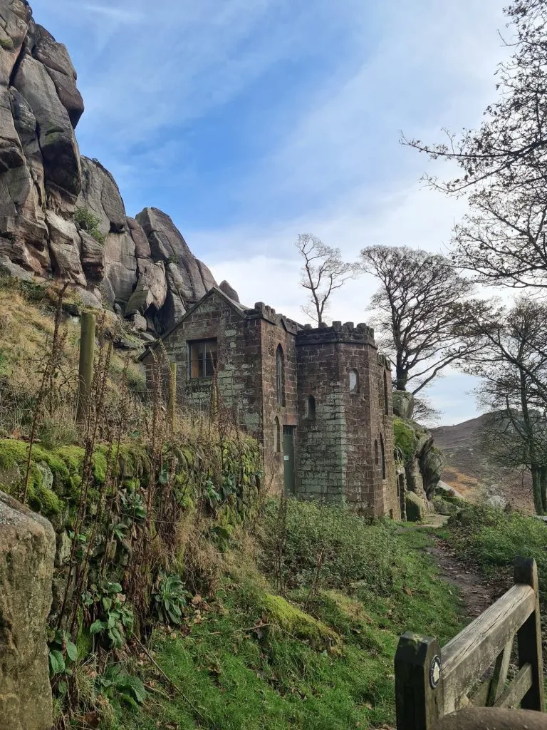 The Roaches - The Wandering Wildflower