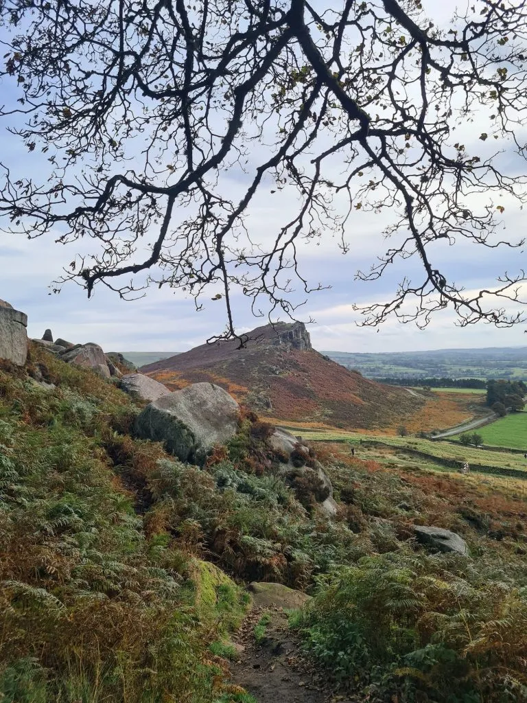 Hen Cloud as seen from Rockhall Cottage - The Wandering Wildflower