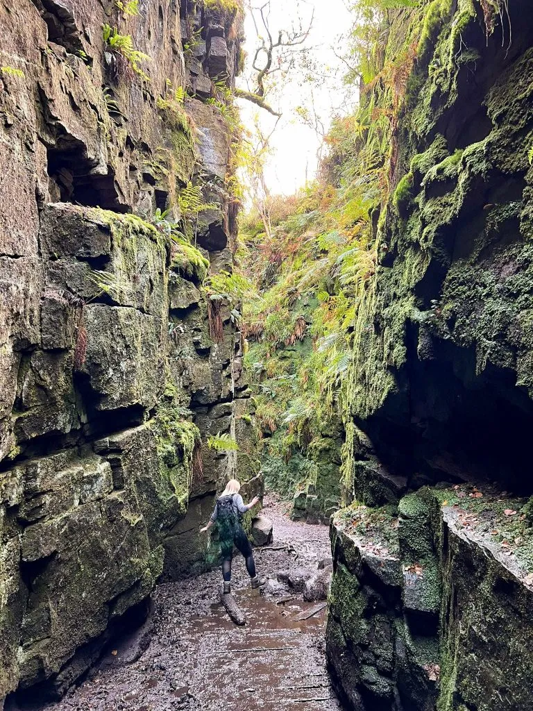 Lud's Church - The Wandering Wildflower