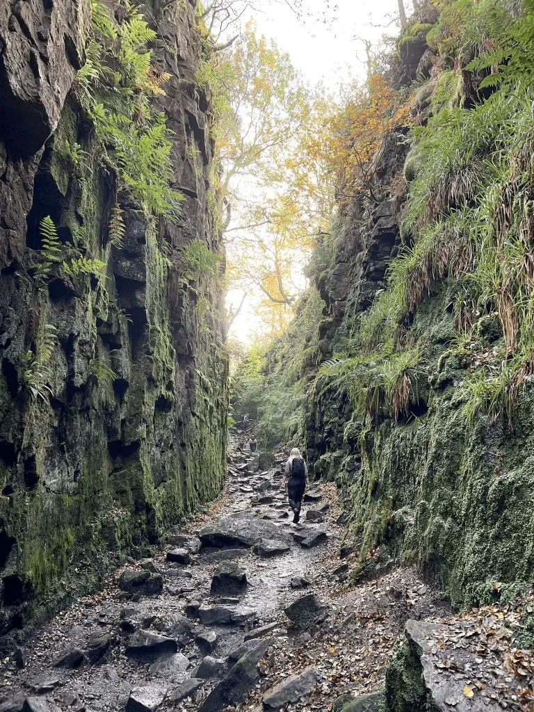 Lud's Church - The Wandering Wildflower