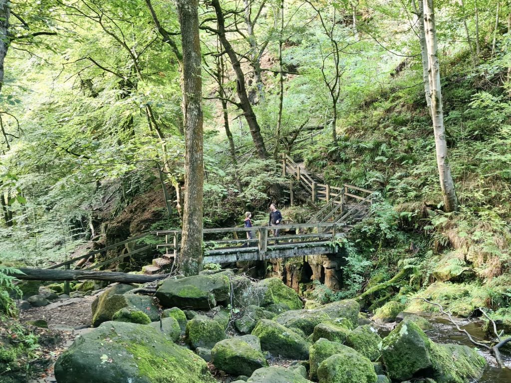 Waterfalls at Padley Gorge in early autumn - The Wandering Wildflower