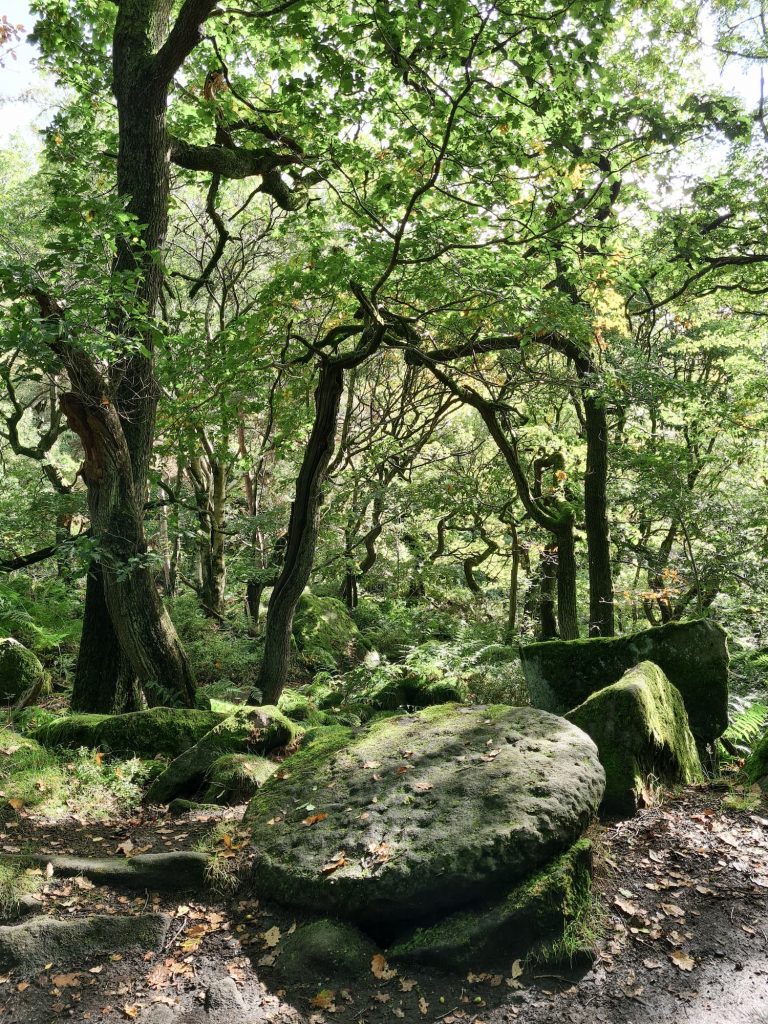 Old mill stone at Padley Gorge in early autumn - The Wandering Wildflower