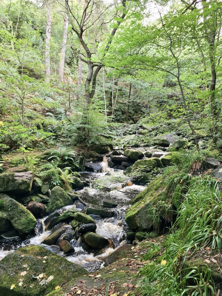 Waterfalls at Padley Gorge in early autumn - The Wandering Wildflower