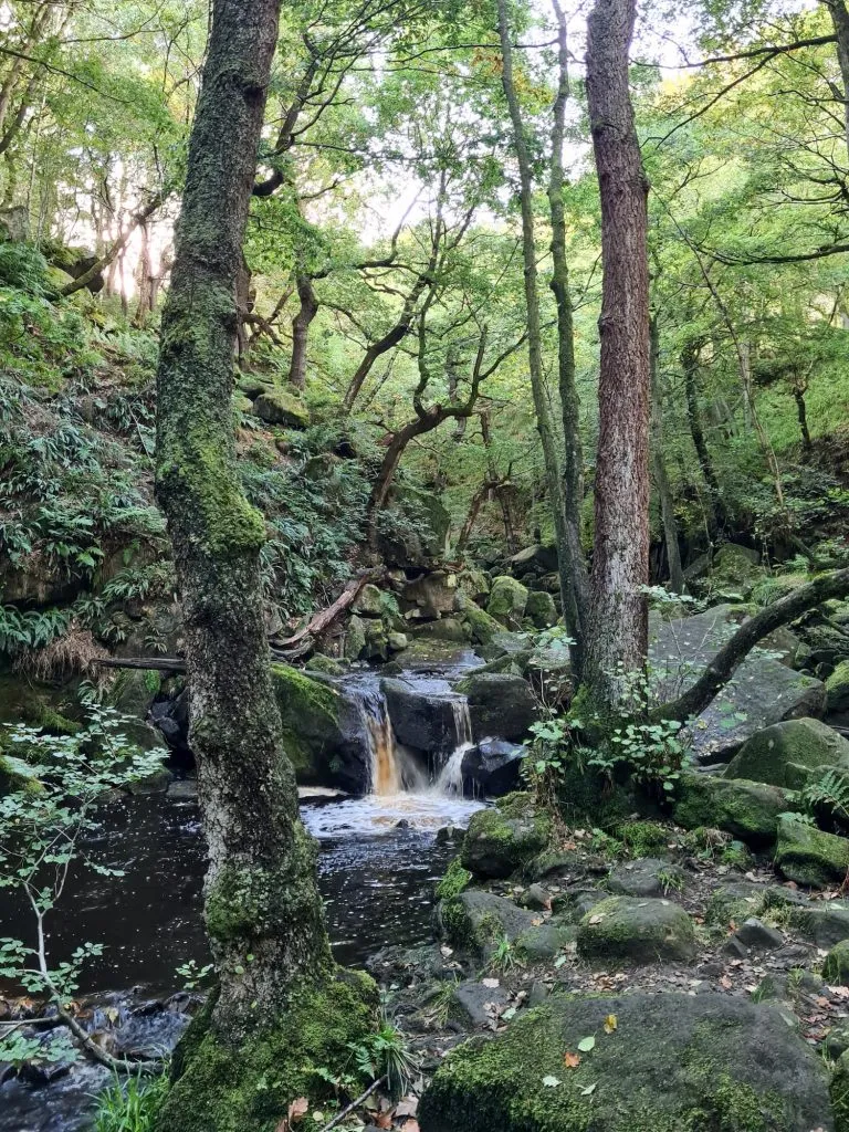 Waterfalls at Padley Gorge in early autumn - The Wandering Wildflower