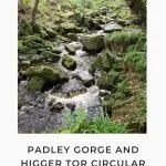 Pinterest Image for Padley Gorge and Higger Tor Circular Walk from The Wandering Wildflower