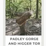 Pinterest Image for Padley Gorge and Higger Tor Circular Walk from The Wandering Wildflower