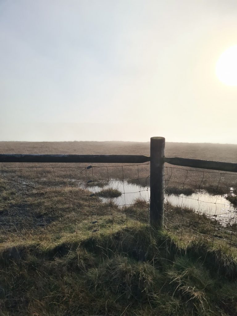 Britland Edge Hill summit - a fence post and a puddle
