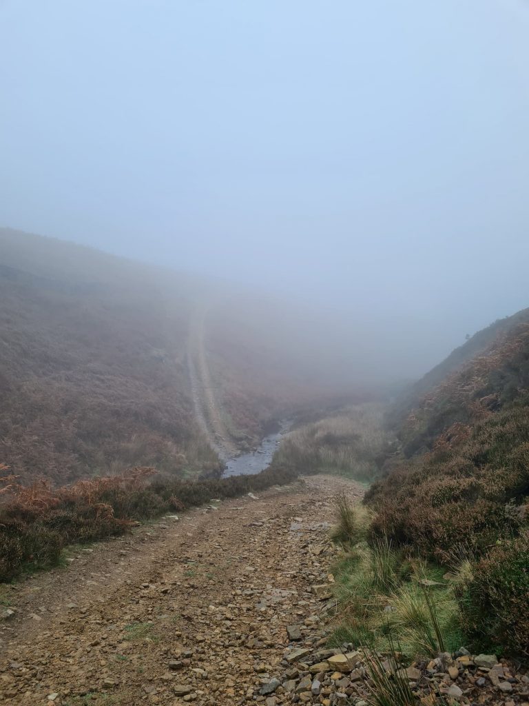 A gamekeepers track in the mist