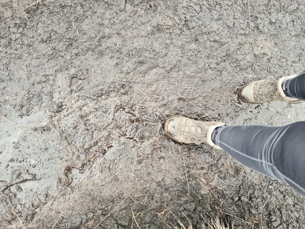 Peat bogs on Kinder Scout