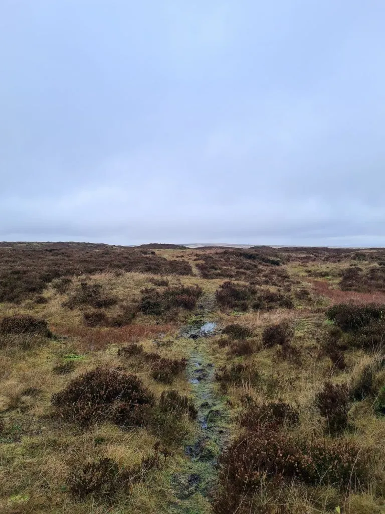 Boggy path leading to the summit of Kinder Scout