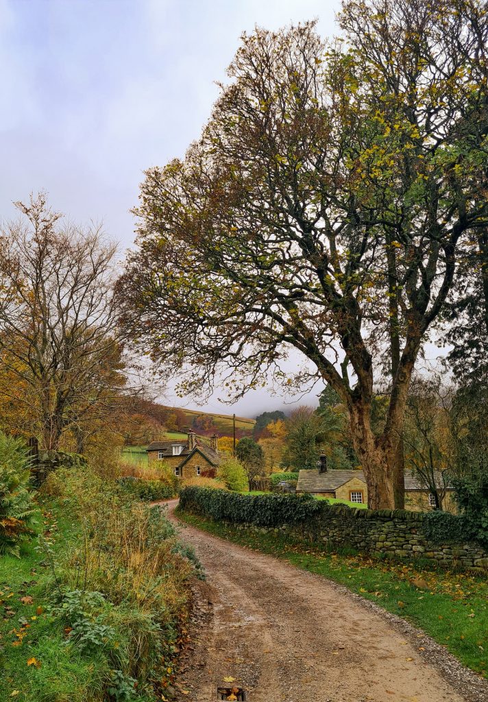 An autumnal lane in Edale