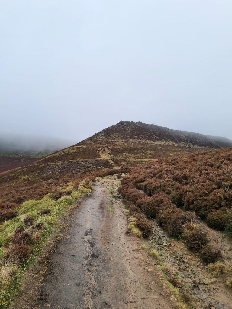 The path leading to Ringing Roger, a stony outcrop on Kinder Scout