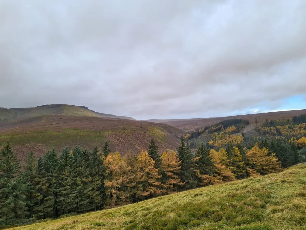 Autumnal colours in the Peak District