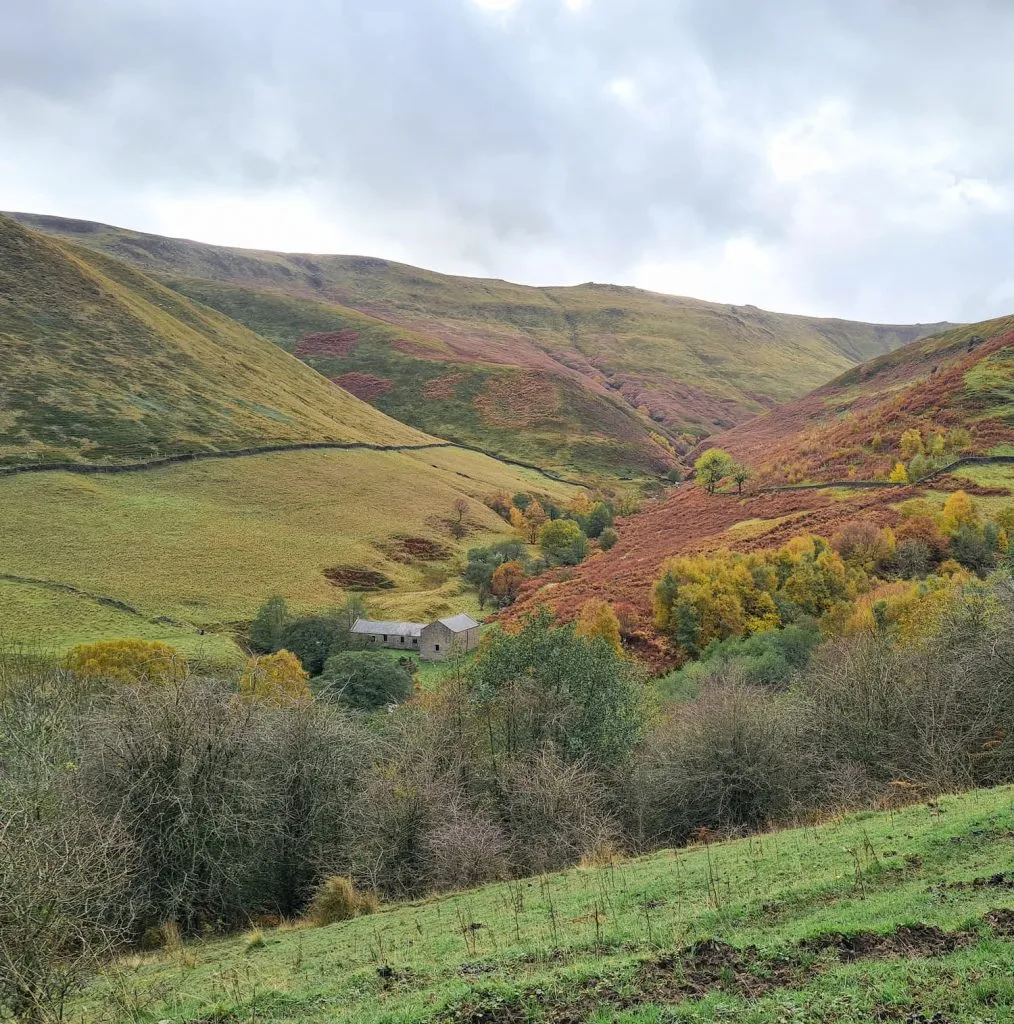 A valley with a barn and dry stone wall
