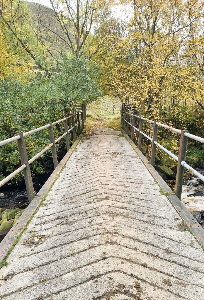 A bridge over a river with a chevron design