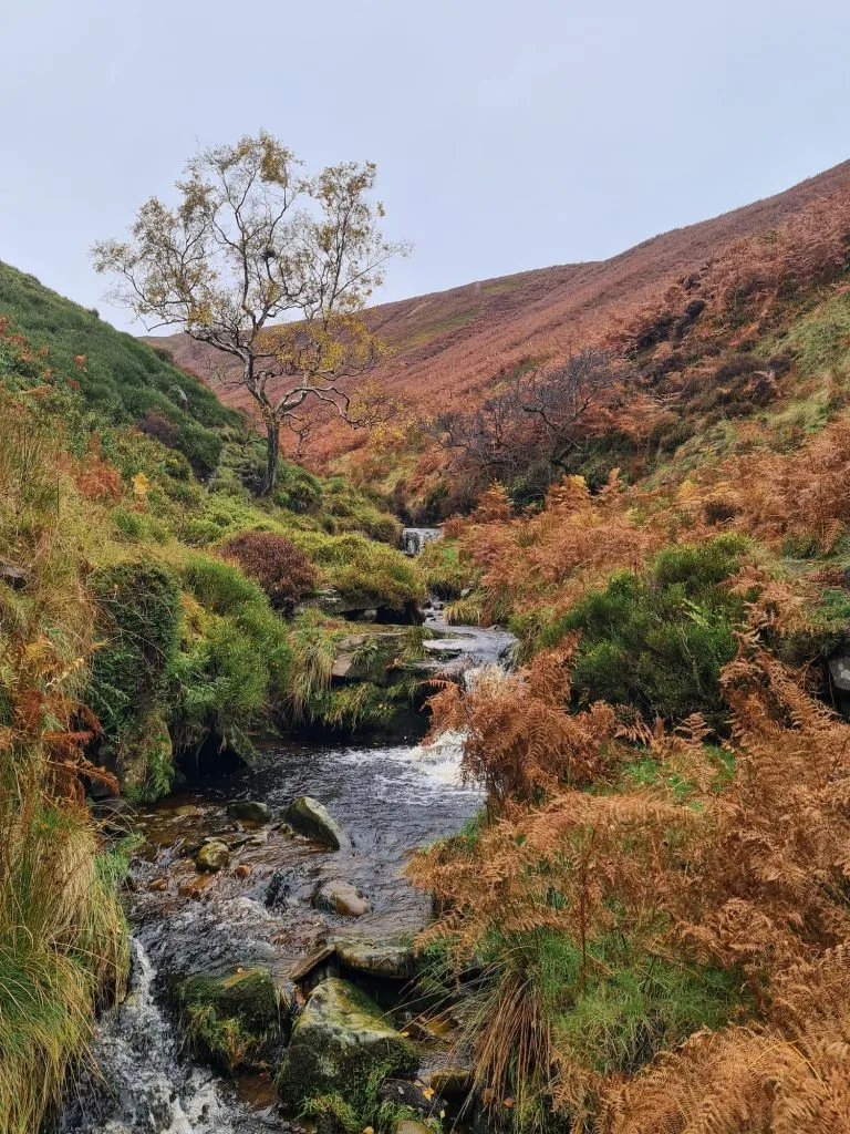 Waterfalls in Blackden Brook, The Peak District in Autumn