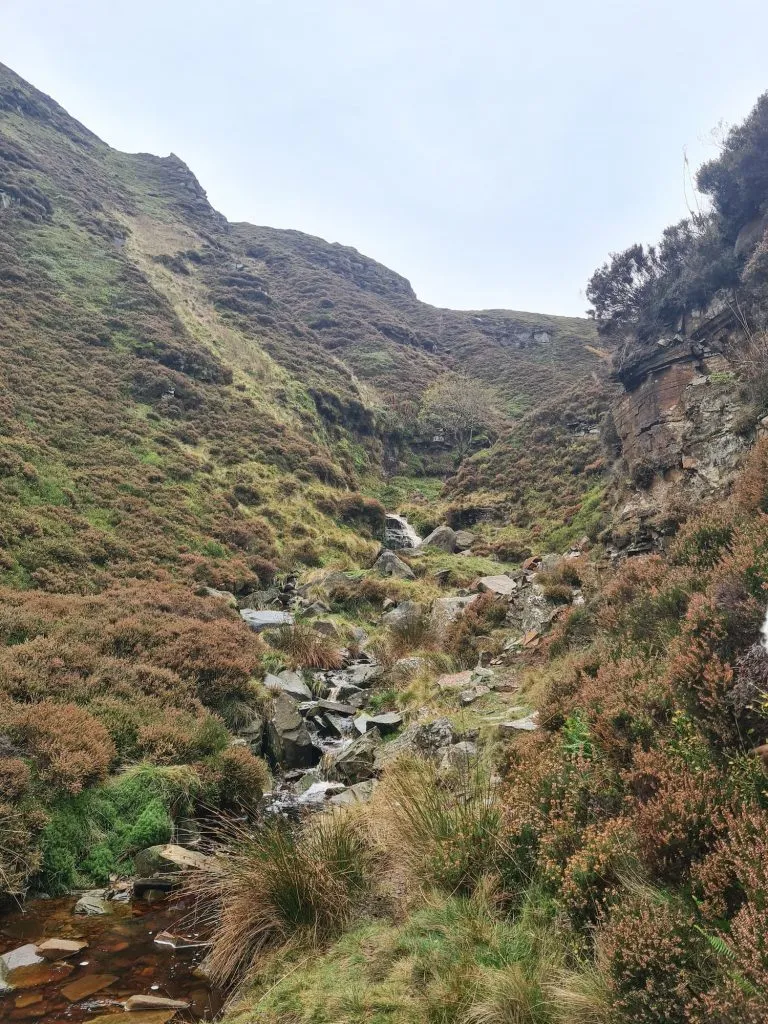 Blackden Brook Scramble