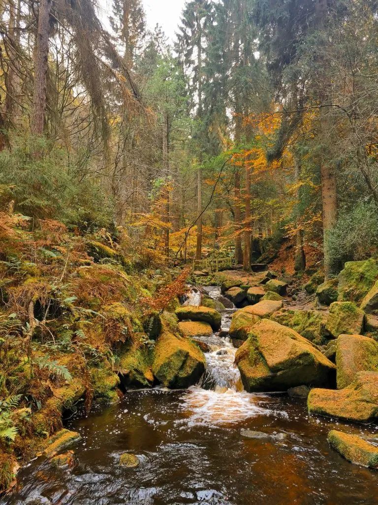 Wyming Brook Nature Reserve Walk - Waterfalls and Woodland