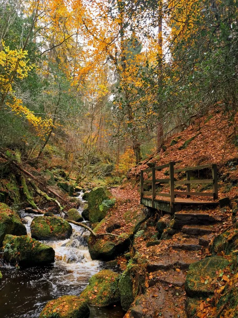 Wyming Brook Nature Reserve Walk - Waterfalls and Woodland