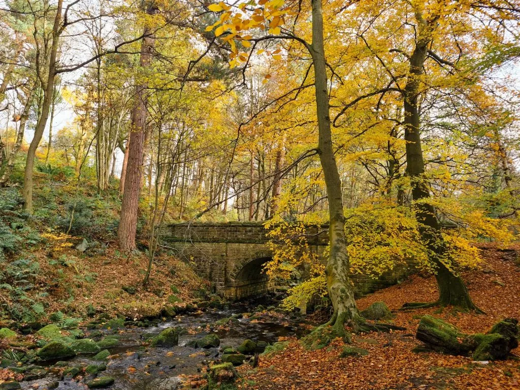 An old bridge in Autumn woodland, - Wyming Brook waterfalls walk