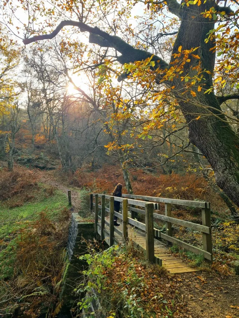 A young girl walking on a wooden bridge 