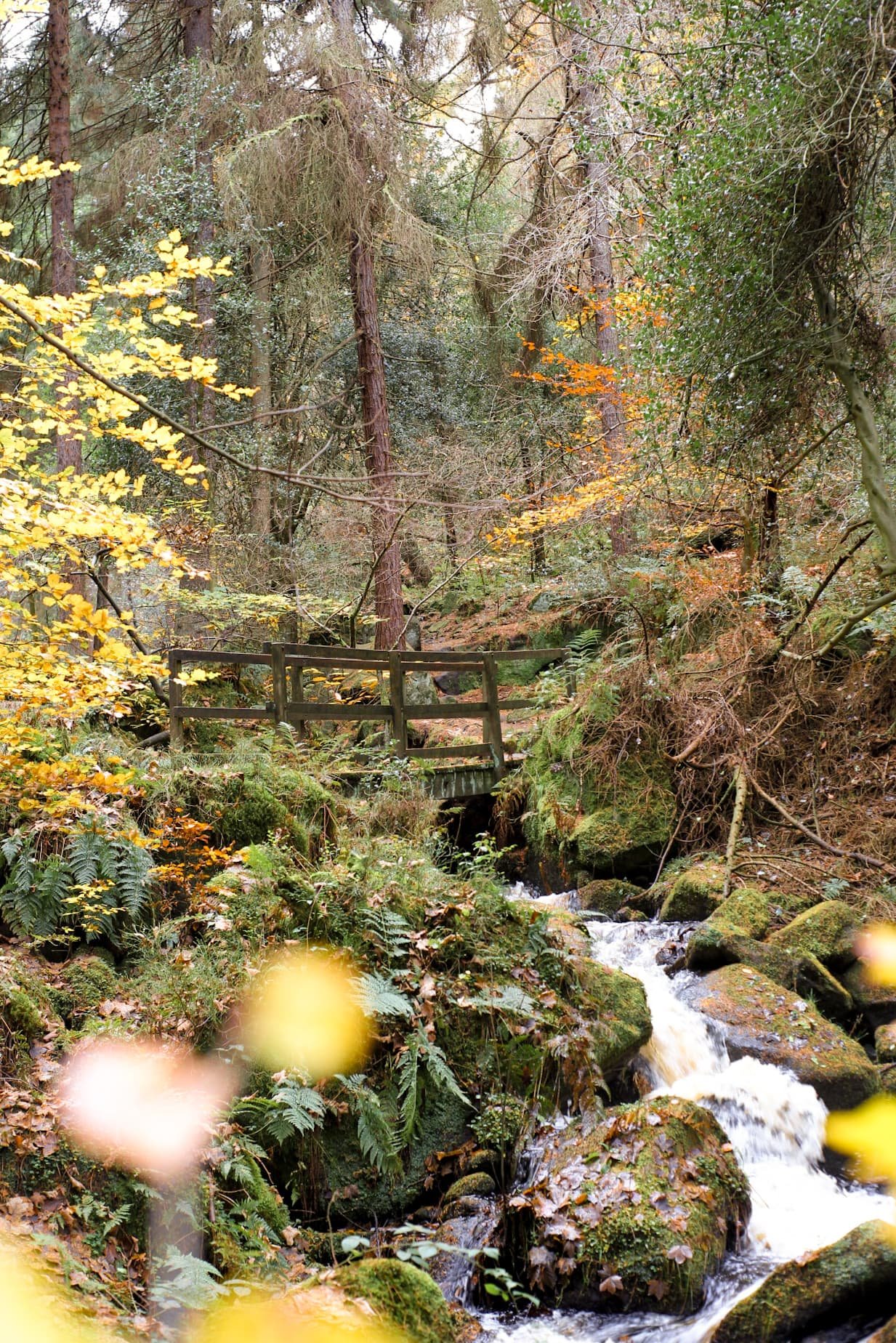 The Most Beautiful Walks in the Peak District | The Wandering Wildflower