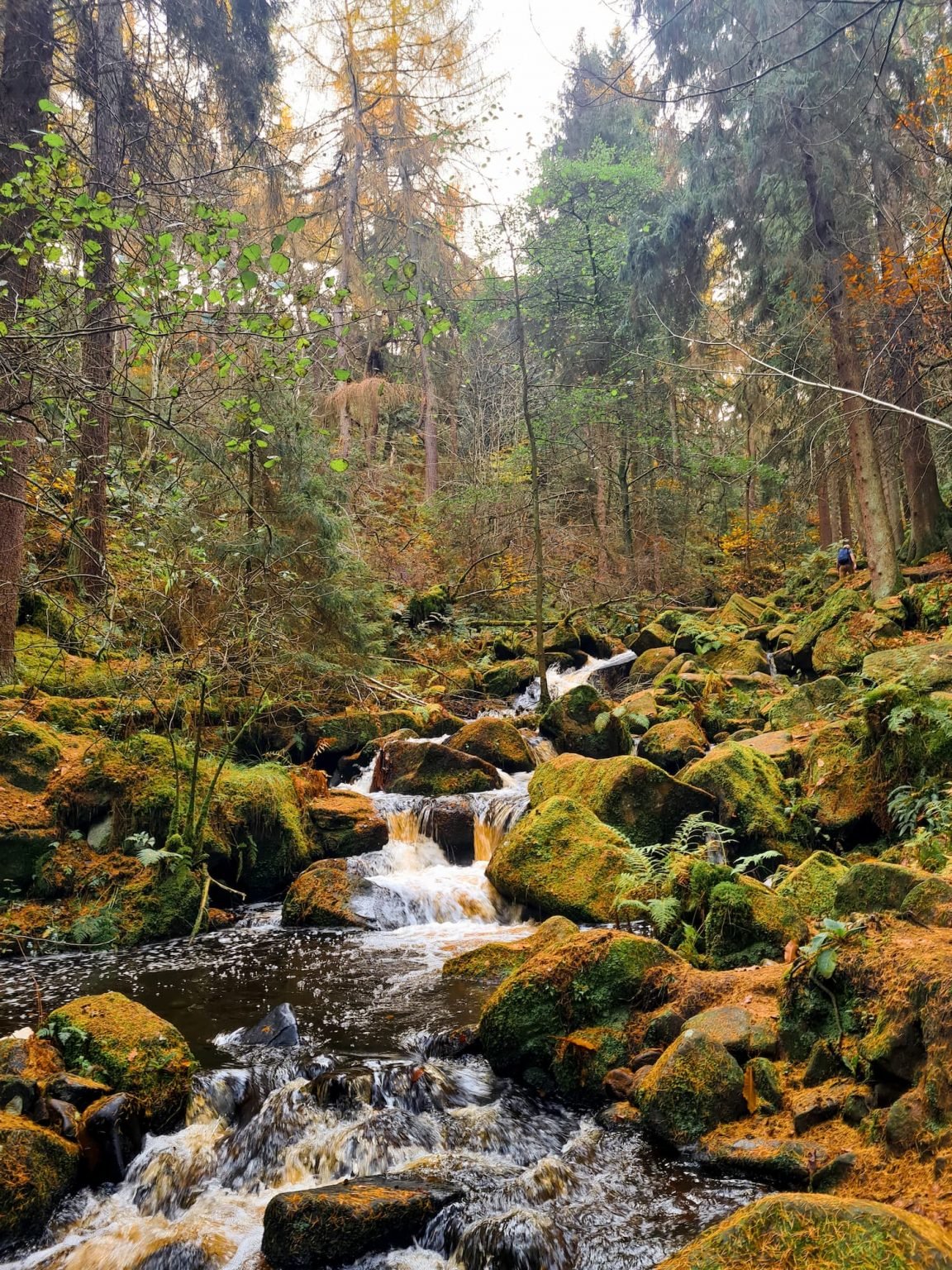 Wyming Brook Waterfalls Walk | 6 Miles | The Wandering Wildflower