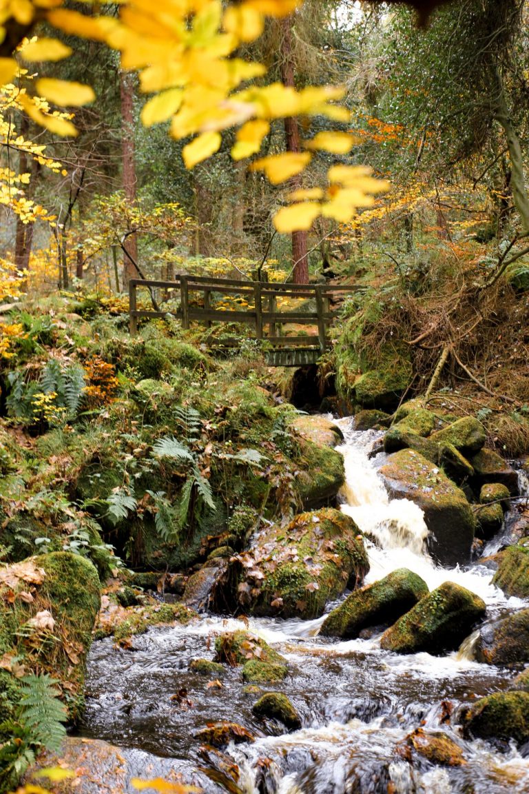 Wyming Brook Nature Reserve Walk - Waterfalls and Woodland