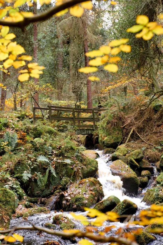 Wyming Brook Nature Reserve Walk - Waterfalls and Woodland